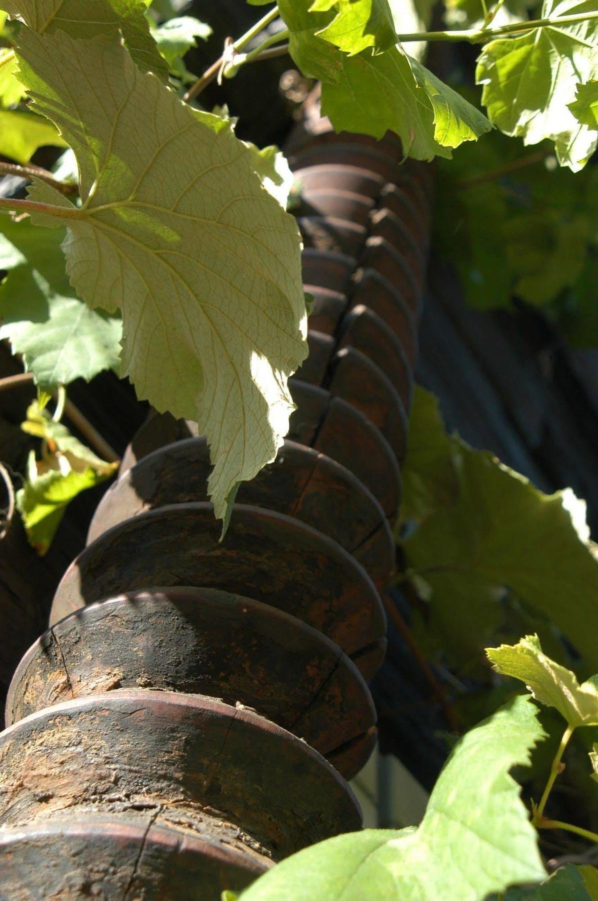 Weingut Primus Suedsteiermark سبفيلد المظهر الخارجي الصورة