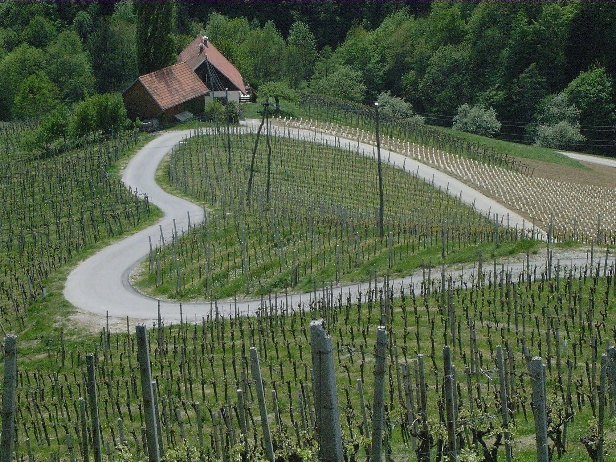 Weingut Primus Suedsteiermark سبفيلد المظهر الخارجي الصورة