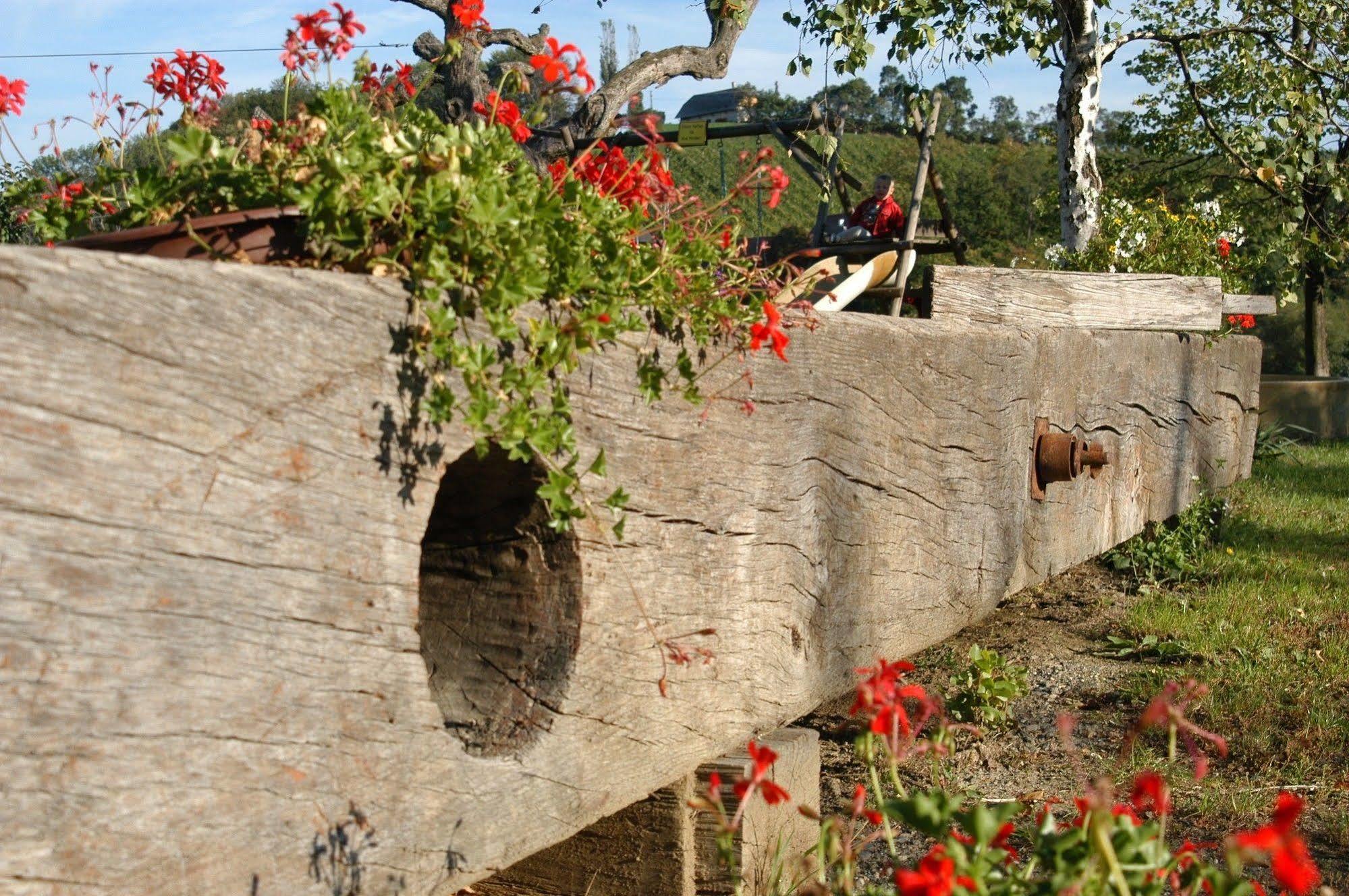 Weingut Primus Suedsteiermark سبفيلد المظهر الخارجي الصورة