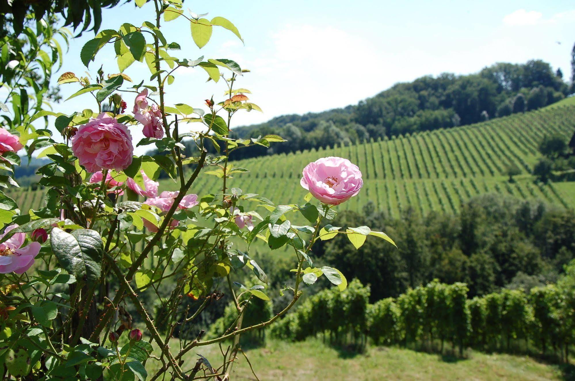 Weingut Primus Suedsteiermark سبفيلد المظهر الخارجي الصورة